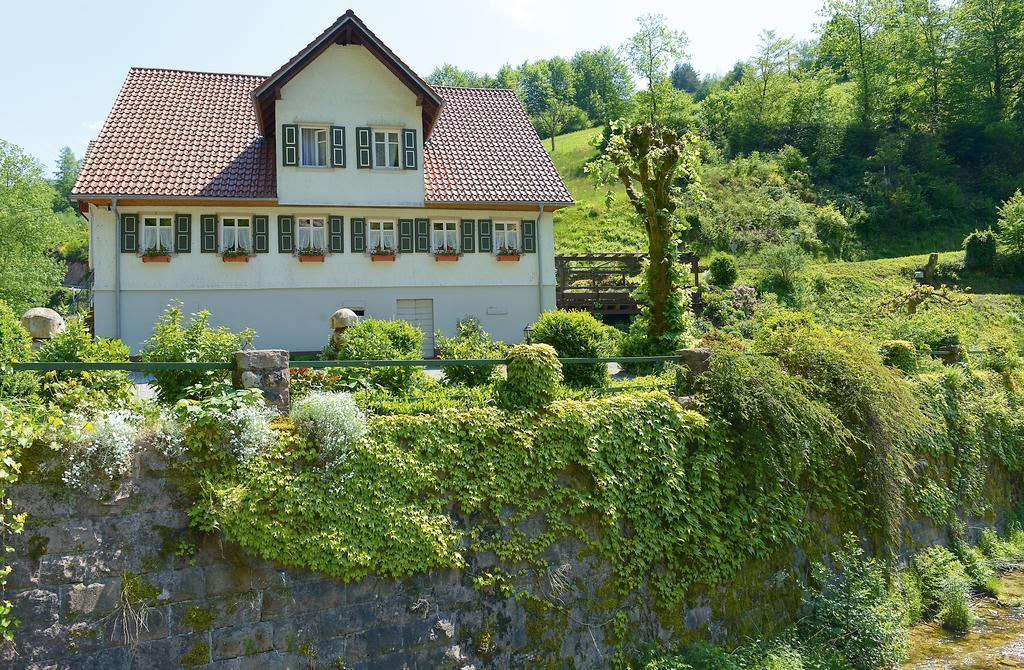 Hotel - Gasthof Blume Oppenau Kültér fotó