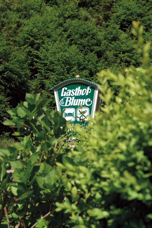 Hotel - Gasthof Blume Oppenau Kültér fotó