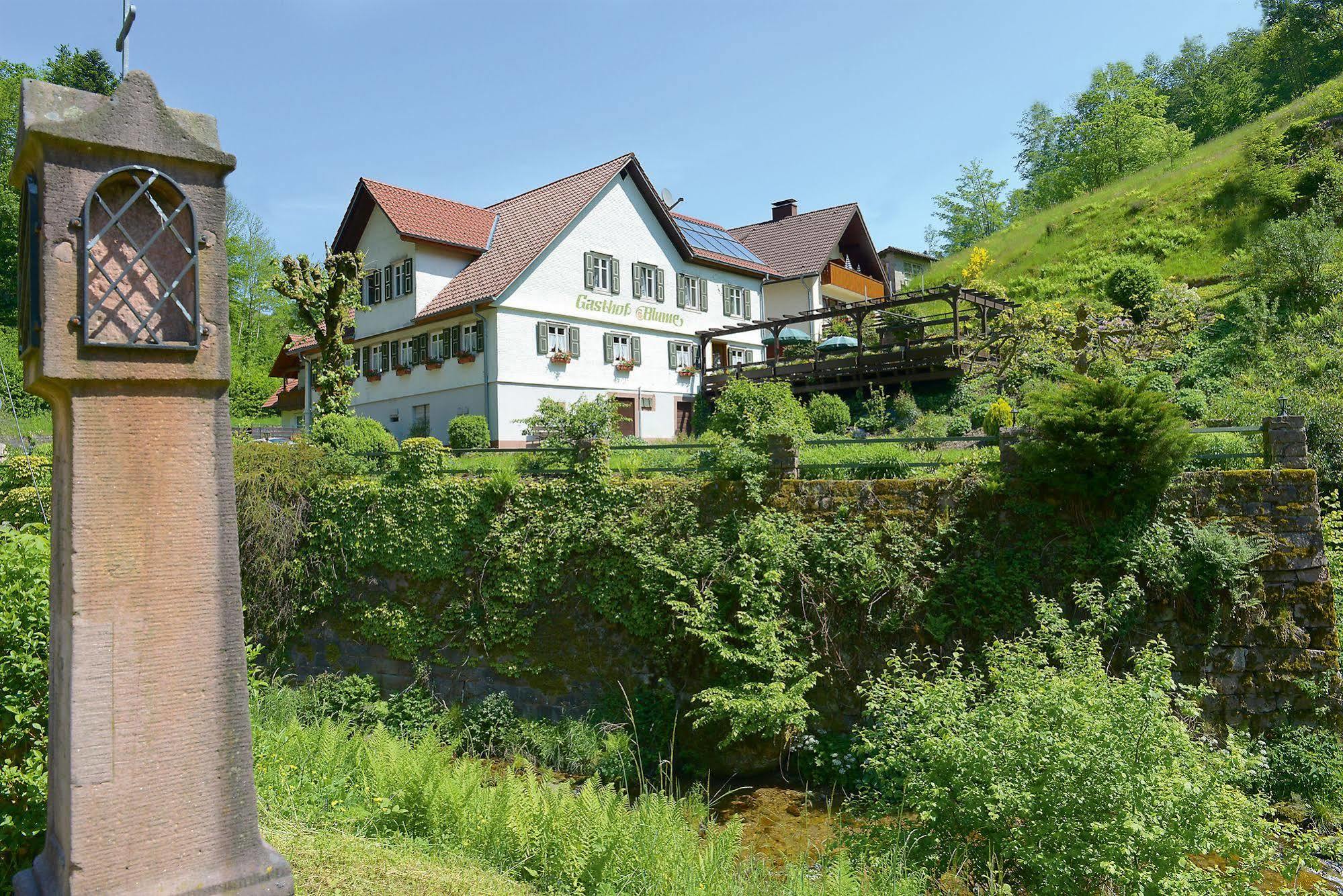 Hotel - Gasthof Blume Oppenau Kültér fotó
