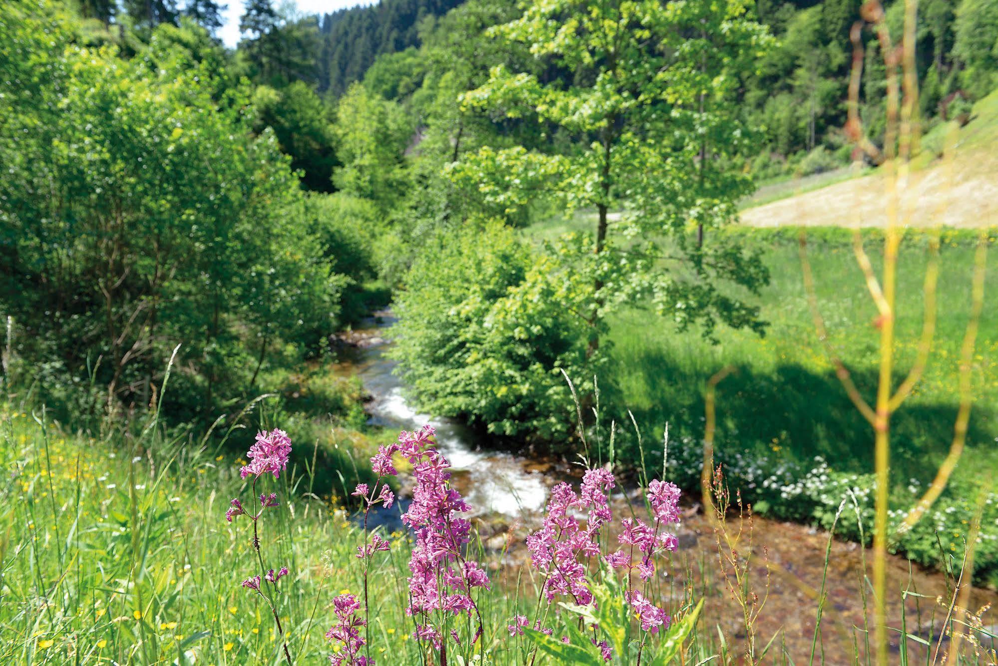 Hotel - Gasthof Blume Oppenau Kültér fotó